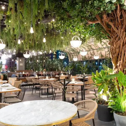 Los 5 mejores lugares en San Pedro Garza García